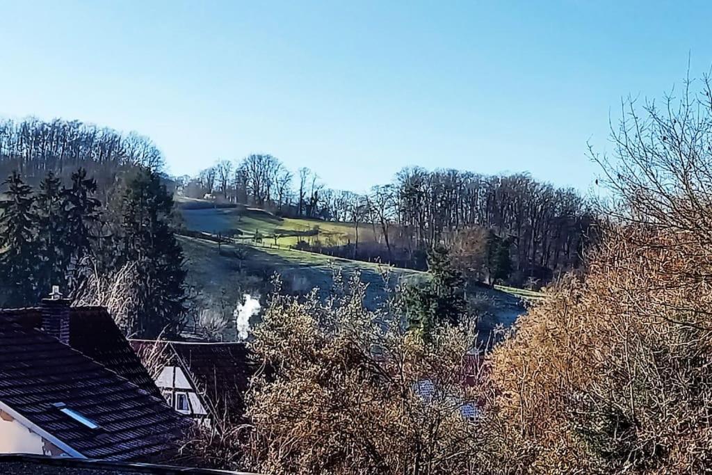 Kleine, gemütliche Dachgeschosswohnung Laudenbach  Exterior foto